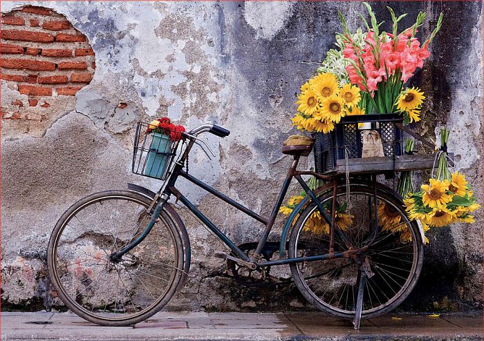 Пазл Educa 500 деталей: Велосипед с цветами
