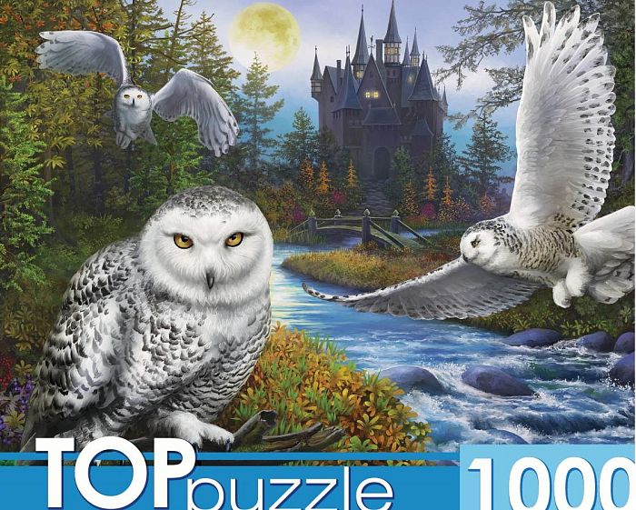Пазл TOP Puzzle 1000 деталей: Магическая сова и замок