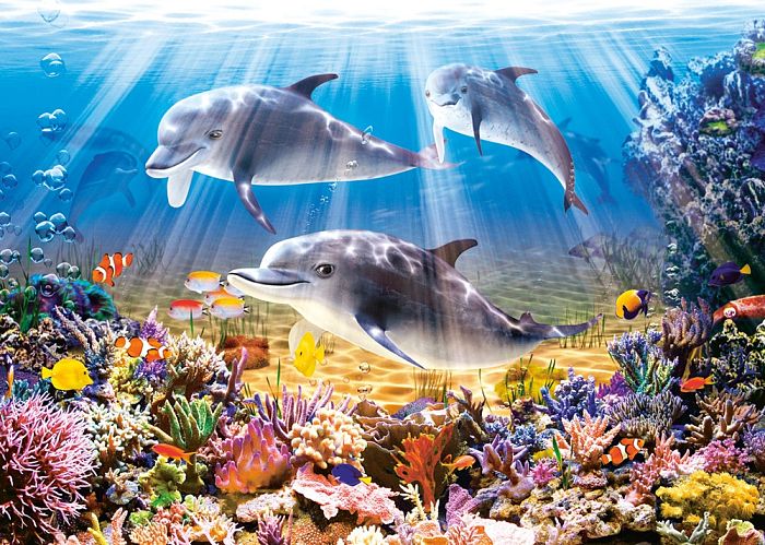 Пазл Castorland 500 элементов: Дельфины под водой