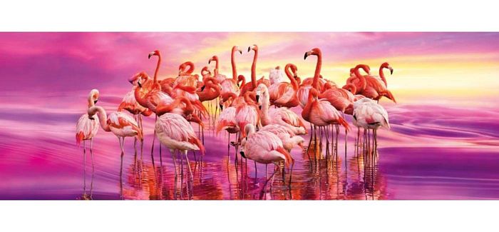 Пазл панорама Clementoni 1000 деталей: Розовые фламинго