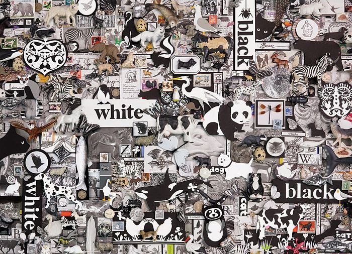 Пазл Cobble Hill 1000 деталей: Черное и белое. Животные