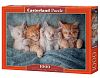Пазл Castorland 1000 деталей: Милые котята