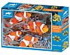 Пазл Prime 3D 500 деталей: Рыбы-клоуны