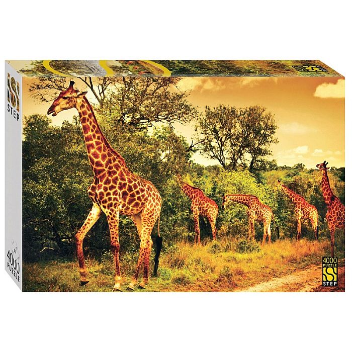 Пазл Step puzzle 4000 деталей: Южноафриканские жирафы