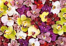 Пазл Educa 1000 деталей: Коллаж из орхидей