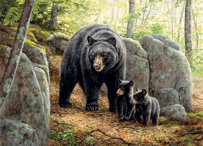 Пазл Cobble Hill 1000 деталей: Медведица с медвежатами