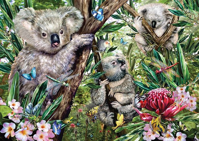 Пазл Schmidt 500 деталей: Милая семья коал