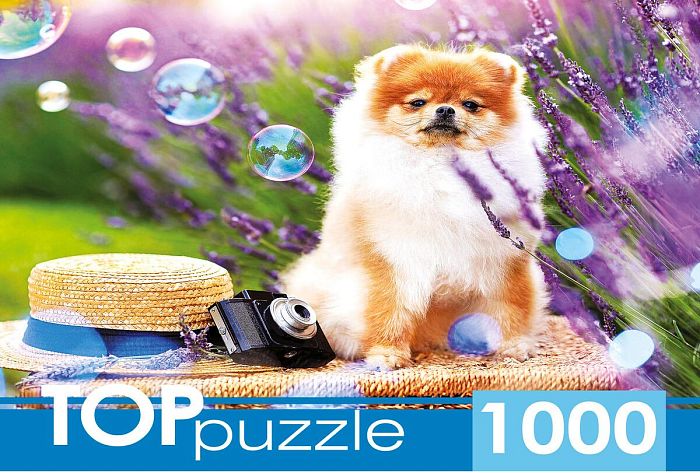 Пазл TOP Puzzle 1000 деталей: Шпиц в саду