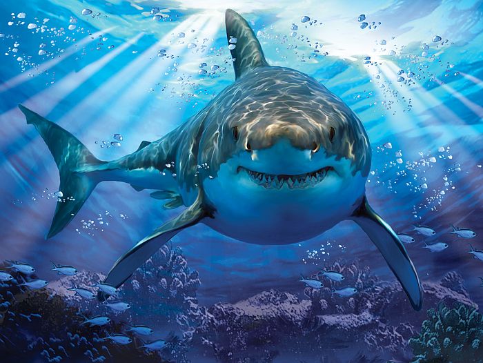 Пазл Prime 3D 500 деталей: Большая белая акула